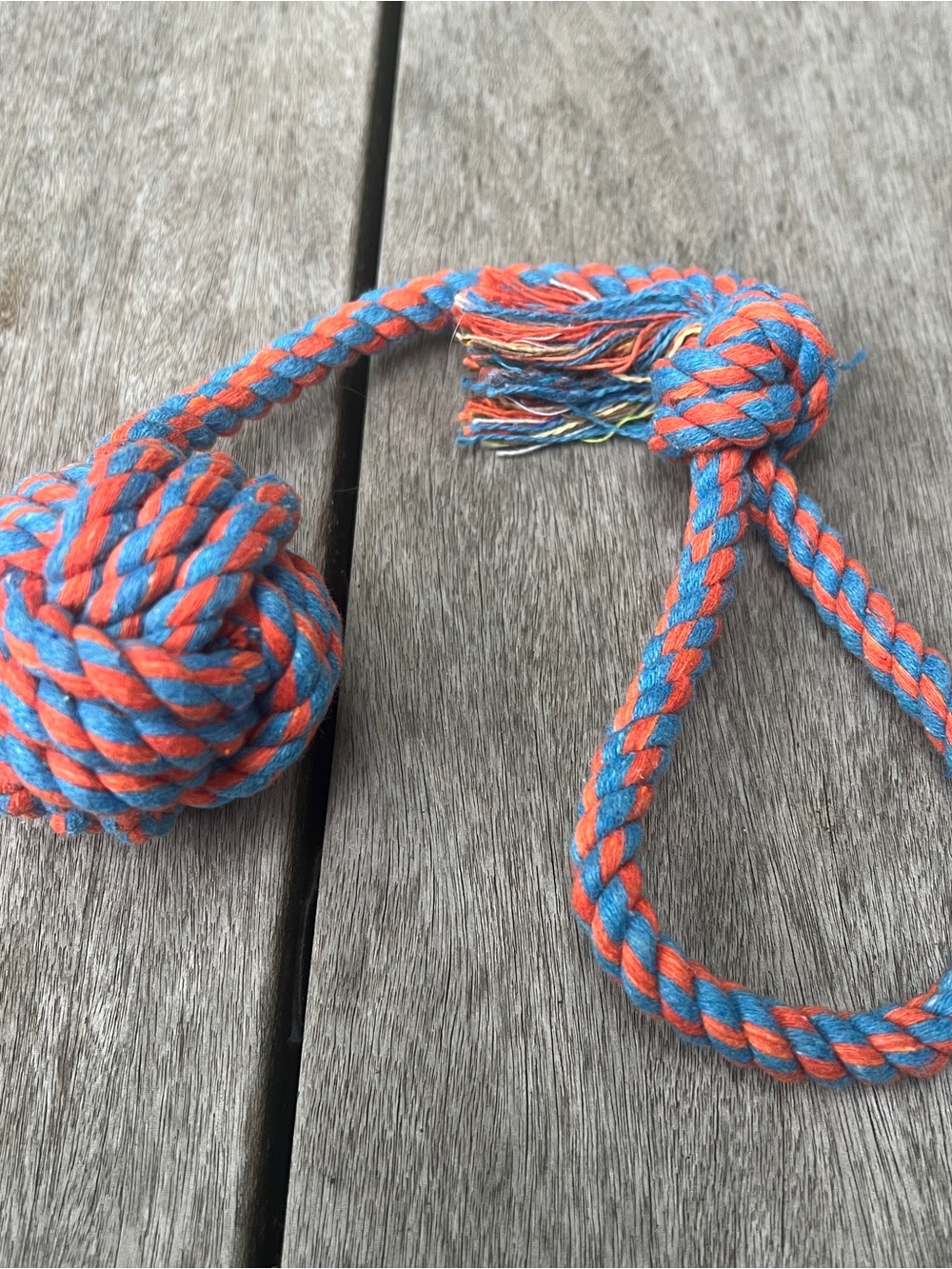 Rope Dog Toy Monkey Fist Knot Tug Throw Blue Orange 14" Long 2" Ball